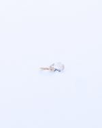 The Pear Morganite